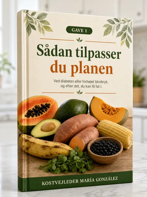Omslaget til Sådan tilpasser du planen